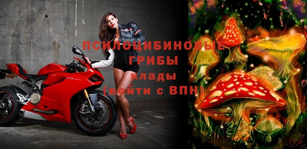 спиды Магадан