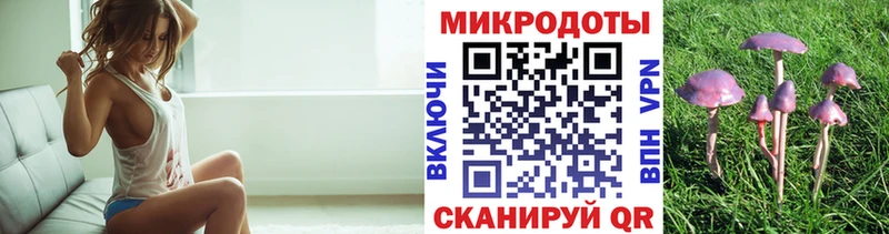 Псилоцибиновые грибы Psilocybe  Купить закладки  Белая Холуница 
