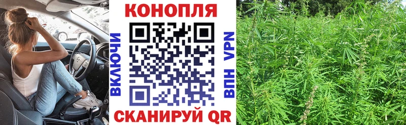 Купить где  Белая Холуница  Бошки Шишки AK-47 